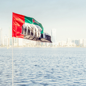 uae national day celebration flag